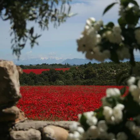 La Feniere, Holiday In The Heart Of Lavender Fields With Swimming Pool Semesterbostad Valensole